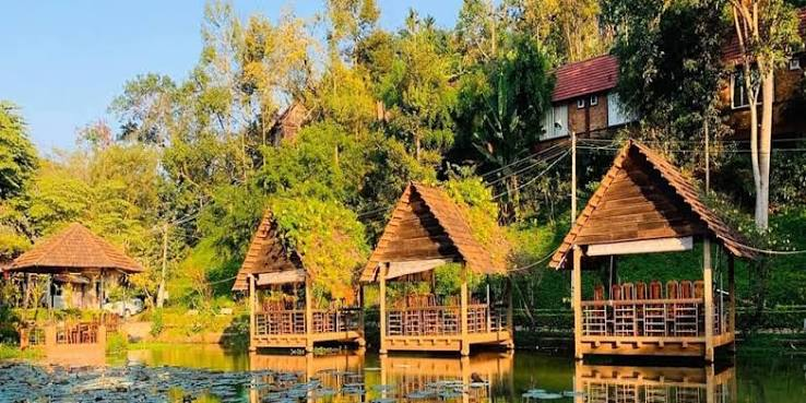 BUÔN MÊ - GIA LAI - MĂNG ĐEN 3N3Đ - Ảnh 3